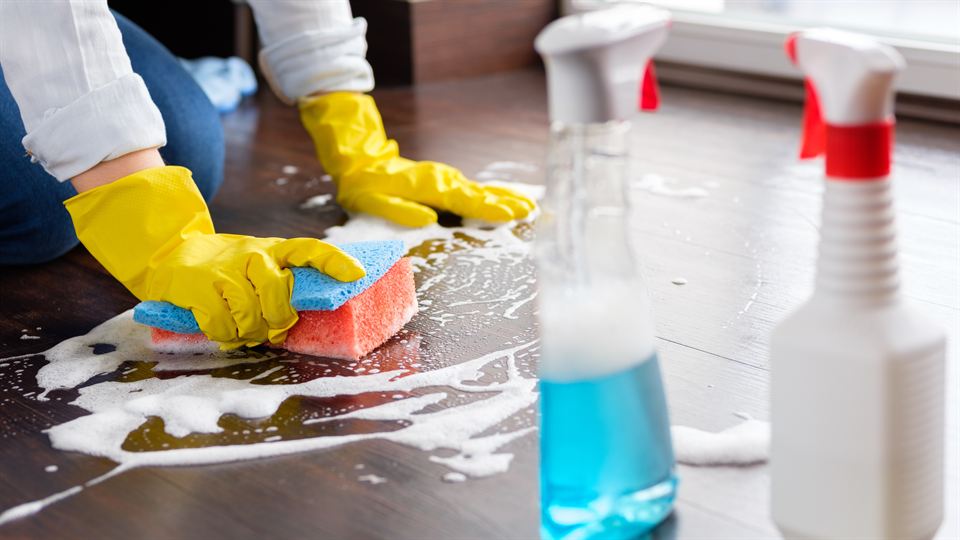 Gloved hands scrubbing a hardwood floor with a sponge and cleaning solution
