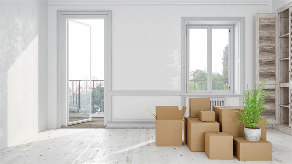 An empty, bright living room with moving boxes and a potted plant by the window